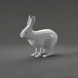 Rabbit
